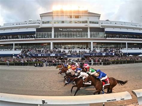 Gulfstream park condition book - Off at: 1:23 Race type: Maiden Special Weight Age Restriction: Three Year Old and Upward Sex Restriction: Fillies and Mares Purse: $50,000 Distance: Six Furlongs On The Dirt Track Condition: Fast Winning Time: 1:10.49